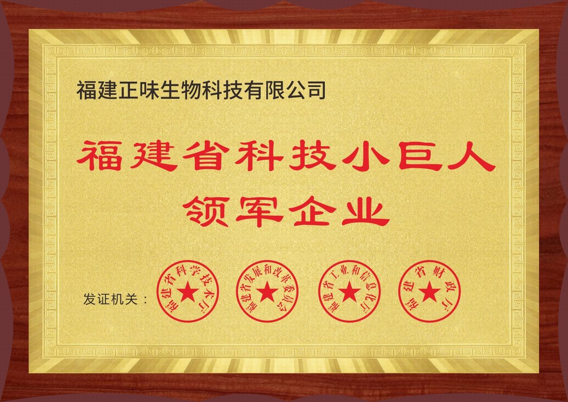 福建省科技小巨人領(lǐng)軍企業(yè)