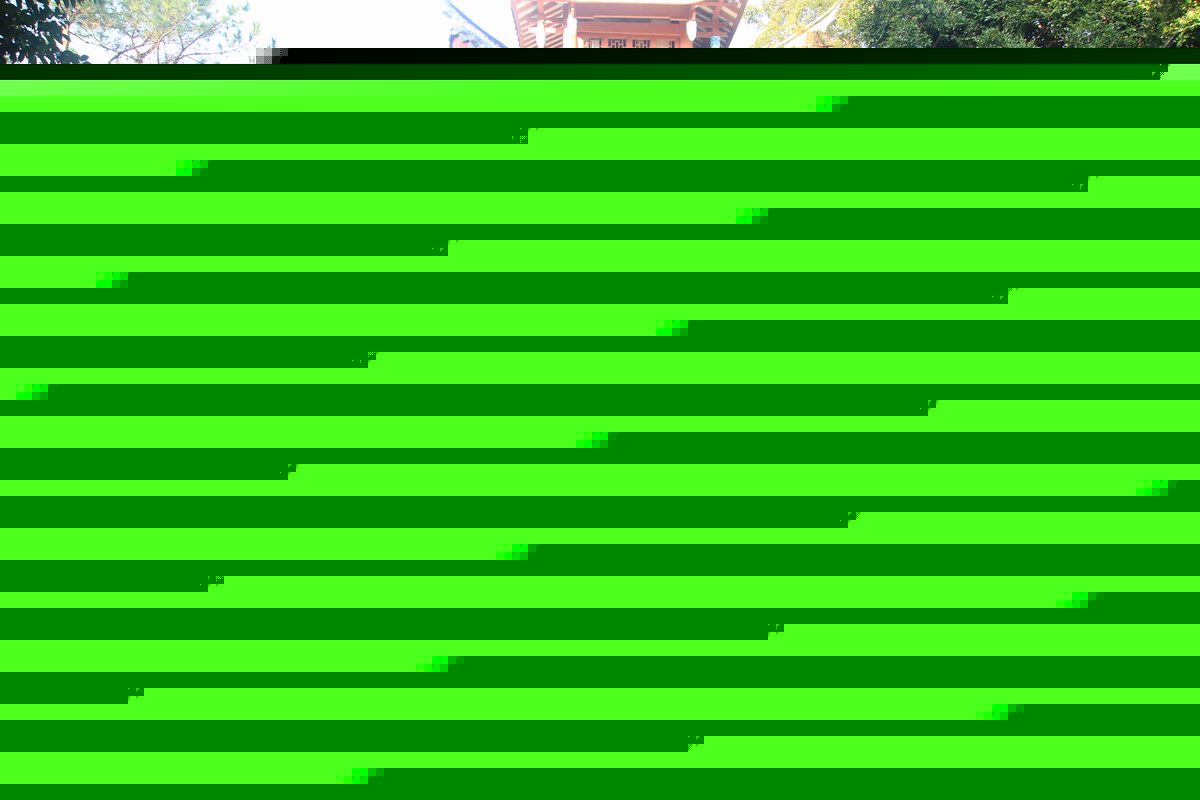 新年曙光中的鼓山之旅——正味公司元旦登山活動(dòng)紀實(shí)