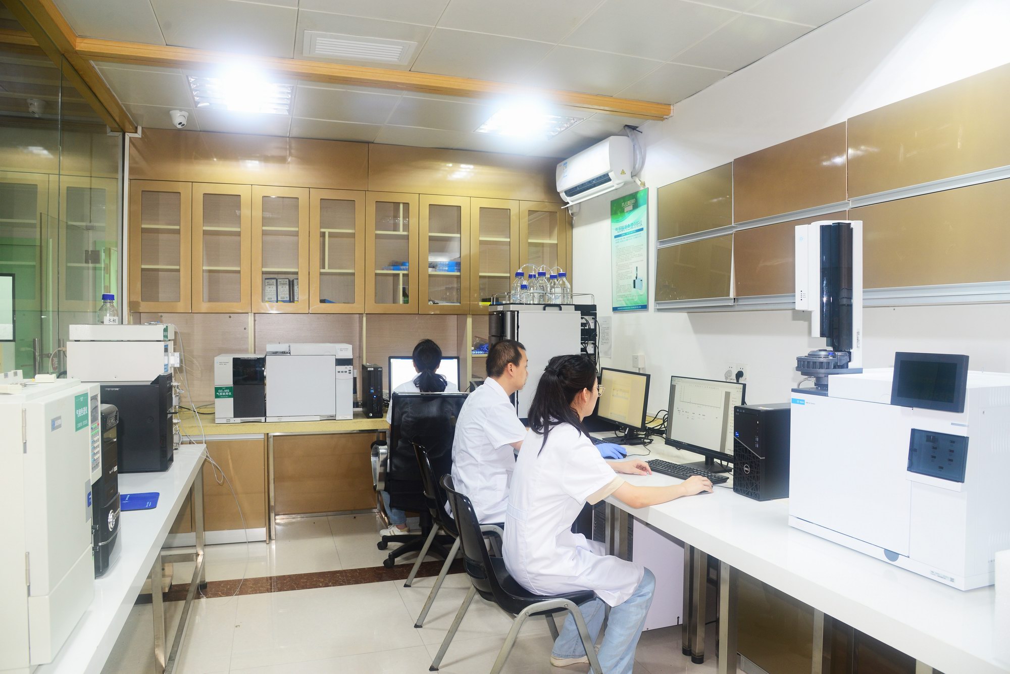 1740384444856151.jpg 1740384444856151.jpg